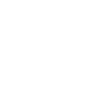 laliga-v-negativo-monocolor-1200x1200-min-300x300